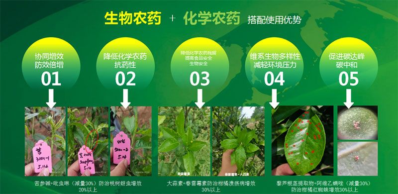 新朝陽在第六屆中國(guó)農(nóng)藥行業(yè)市場(chǎng)和銷售高峰論壇做“生物農(nóng)藥+化學(xué)農(nóng)藥，引領(lǐng)植保市場(chǎng)未來”主題報(bào)告