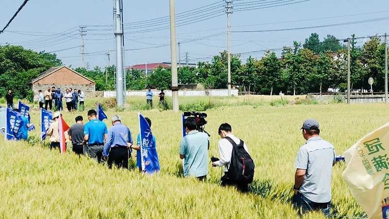 520健康植保日——擁抱綠色農(nóng)業(yè)，我們?cè)谛袆?dòng)