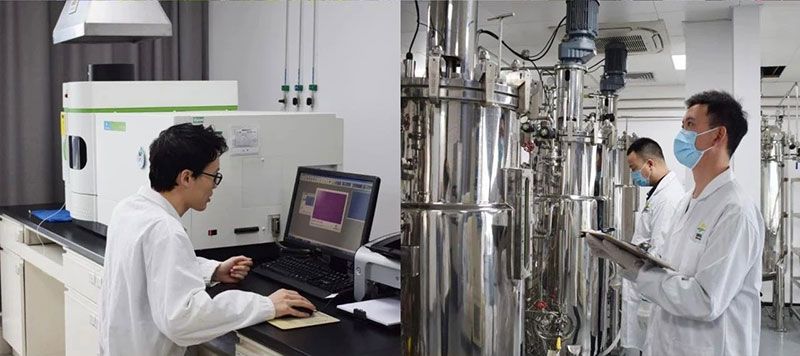 打造新朝陽生物科技“五張名片”，服務(wù)農(nóng)業(yè)高質(zhì)量發(fā)展！