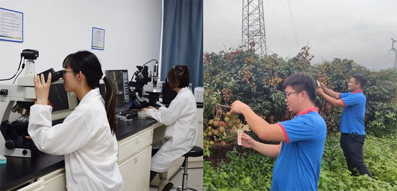 打造新朝陽生物科技“五張名片”，服務(wù)農(nóng)業(yè)高質(zhì)量發(fā)展！