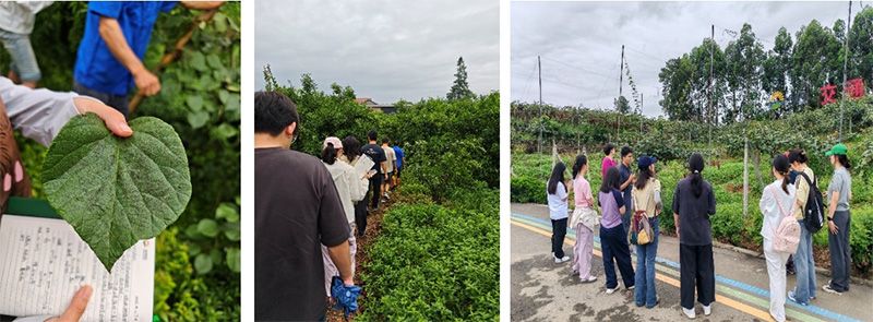 首個！中國農(nóng)業(yè)大學(xué)攜手新朝陽啟動“朝陽稼穡計劃”